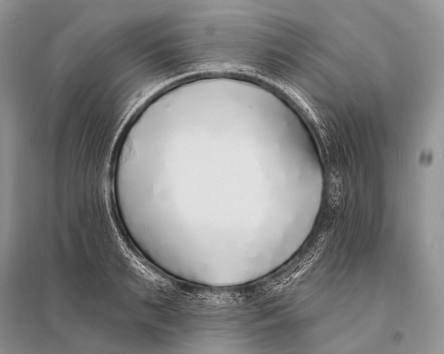 X0000094920895200712201217