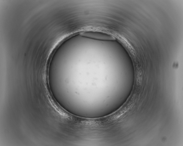 X0000094920896200712201217