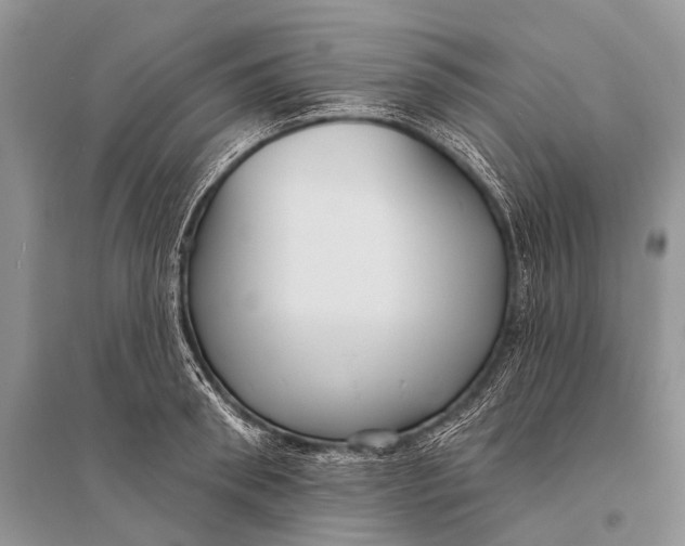 X0000094920898200712201217