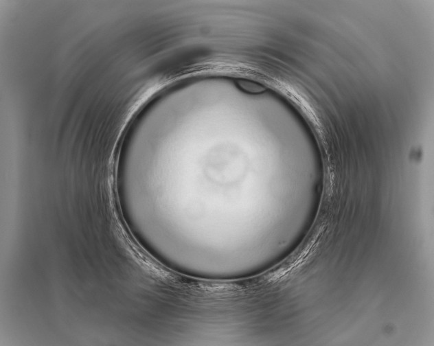 X0000094920899200712201217