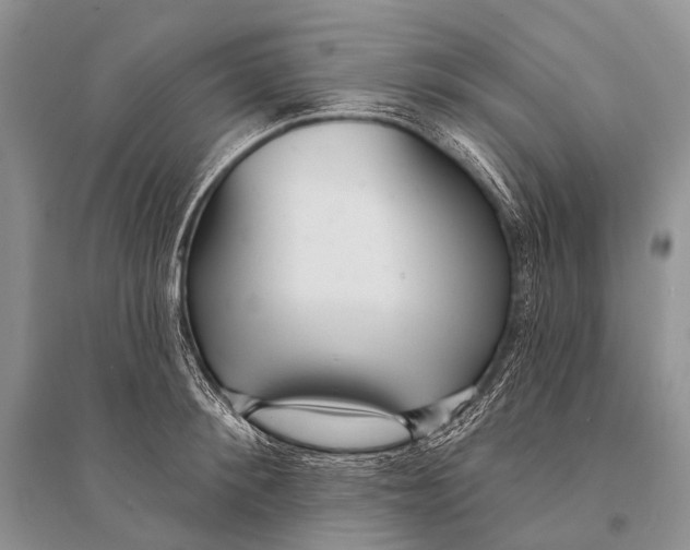 X0000094920900200712201217