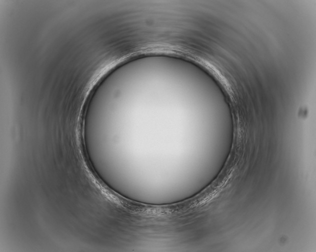 X0000094920901200712201217