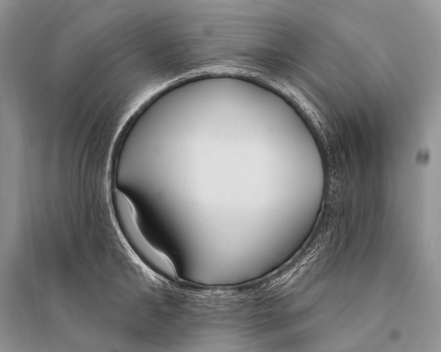 X0000094920902200712201217