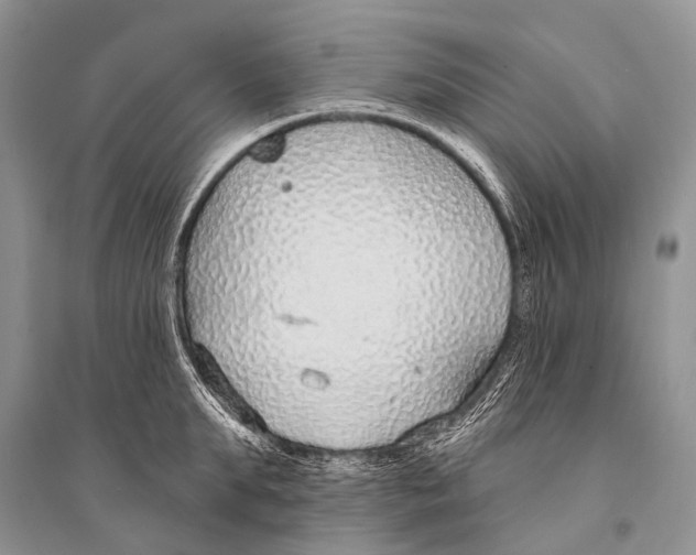 X0000094920903200712201217