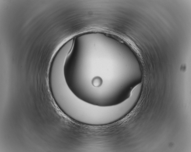 X0000094920904200712201217