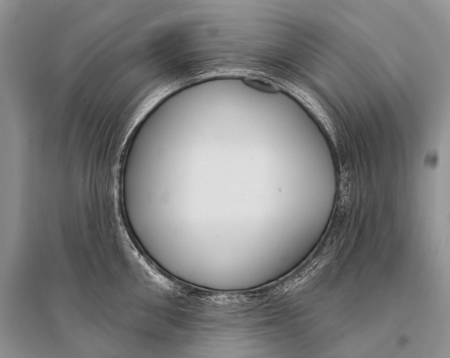 X0000094920906200712201217