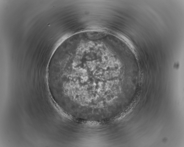 X0000094920907200712201217