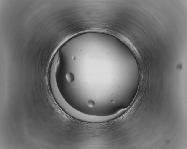 X0000094920908200712201217