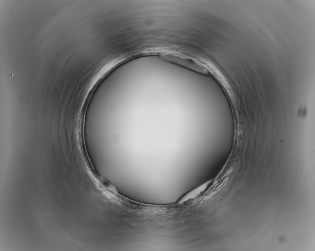 X0000094920909200712201217