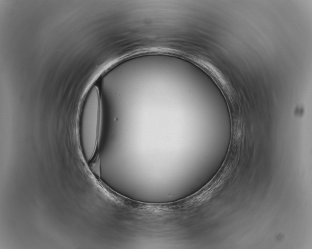 X0000094920910200712201217