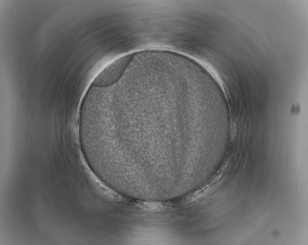 X0000094920911200712201217