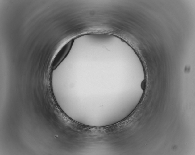 X0000094920912200712201217