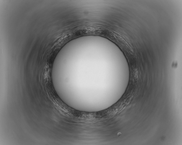 X0000094920914200712201216