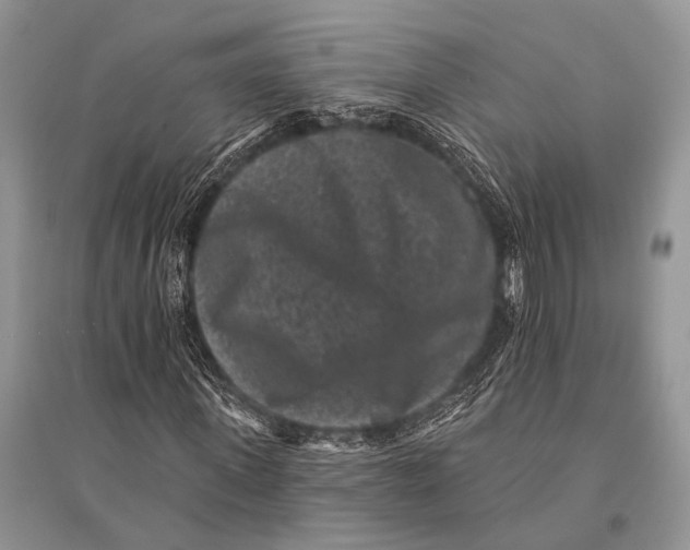 X0000094920915200712201216