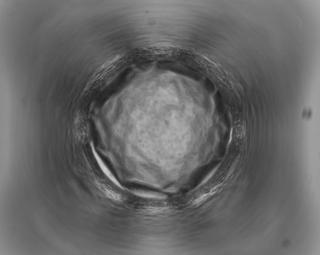 X0000094920916200712201216