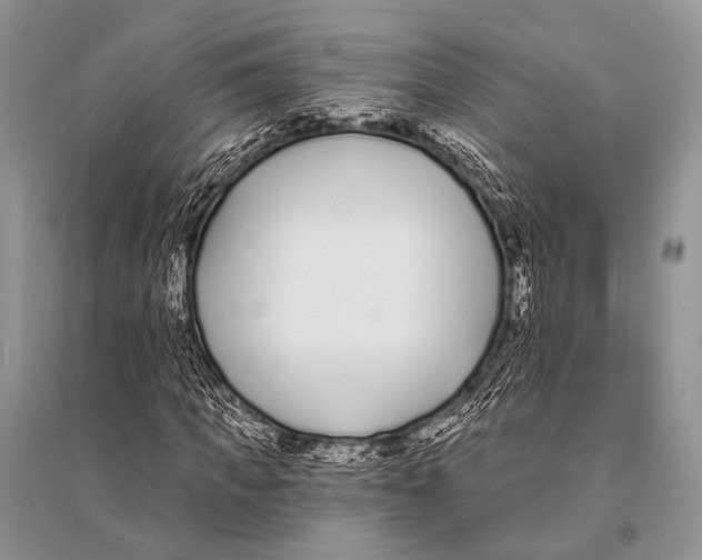 X0000094920917200712201216