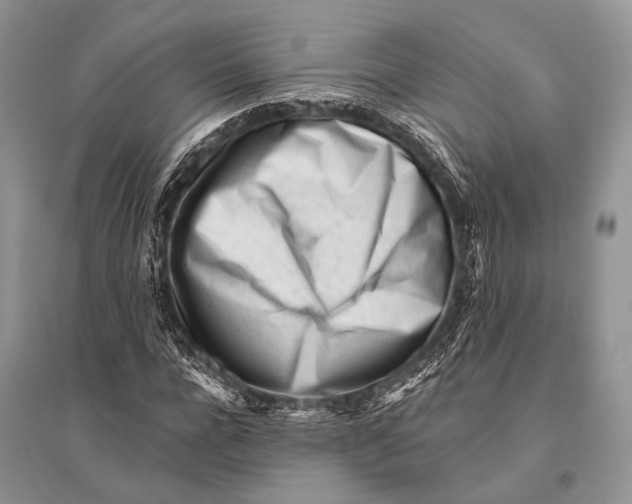 X0000094920920200712201216