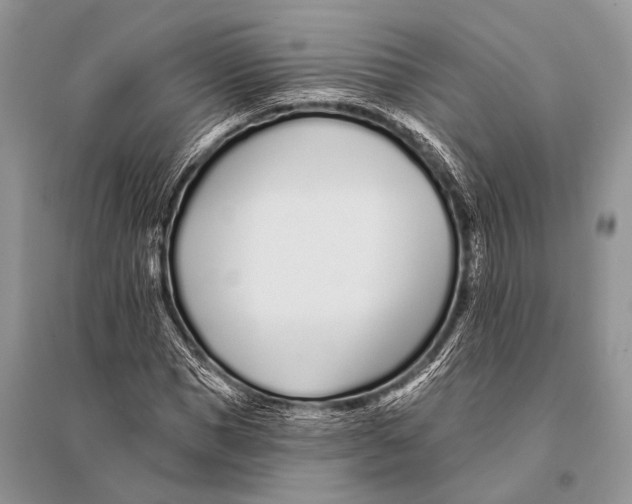 X0000094920921200712201216