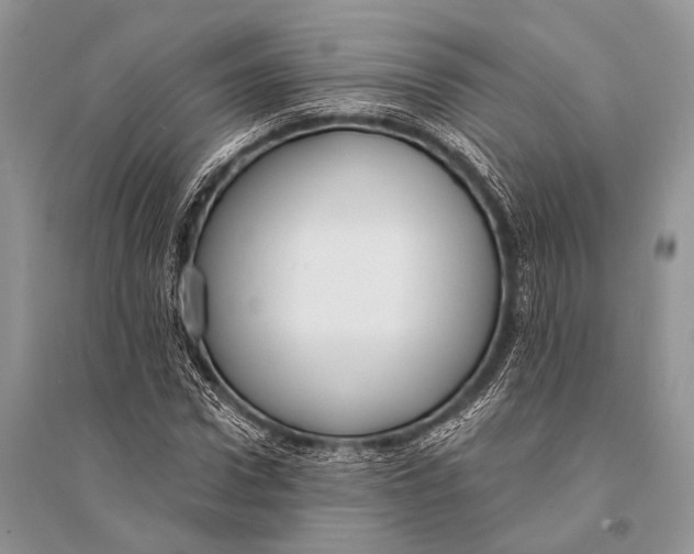 X0000094920922200712201216