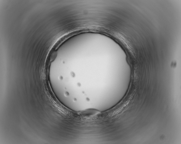 X0000094920924200712201216