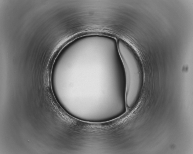 X0000094920925200712201216