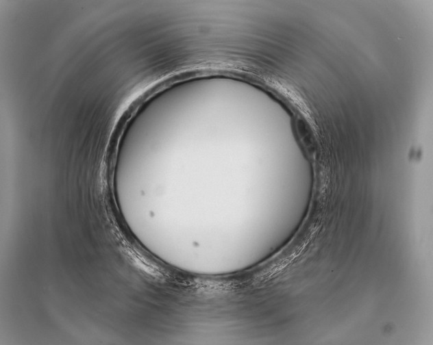 X0000094920928200712201216