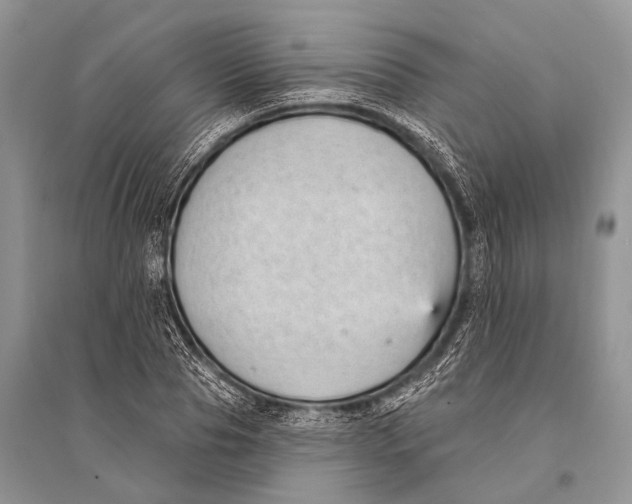 X0000094920929200712201216