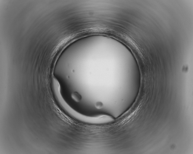 X0000094920930200712201216