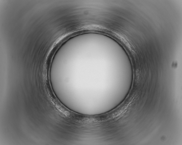 X0000094920931200712201216