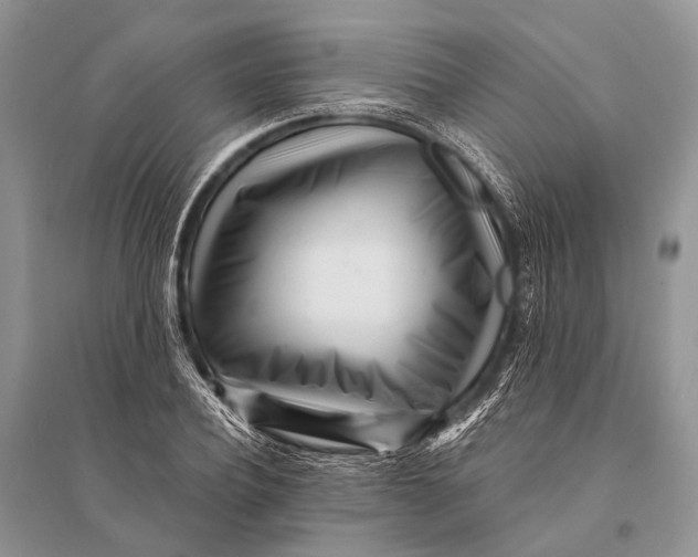 X0000094920932200712201216