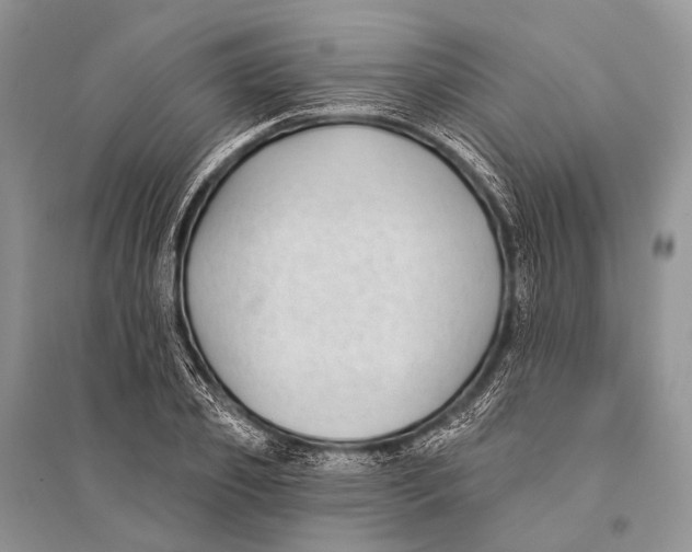 X0000094920933200712201216