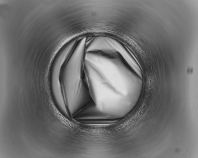 X0000094920934200712201216