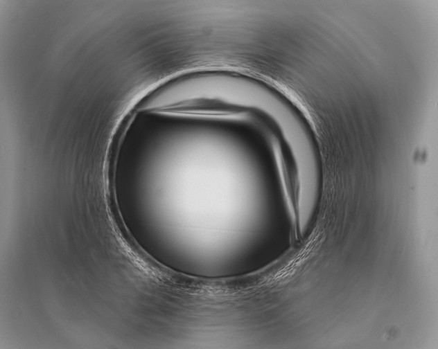 X0000094920935200712201216