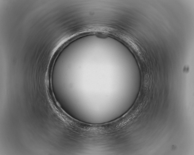 X0000094920936200712201216