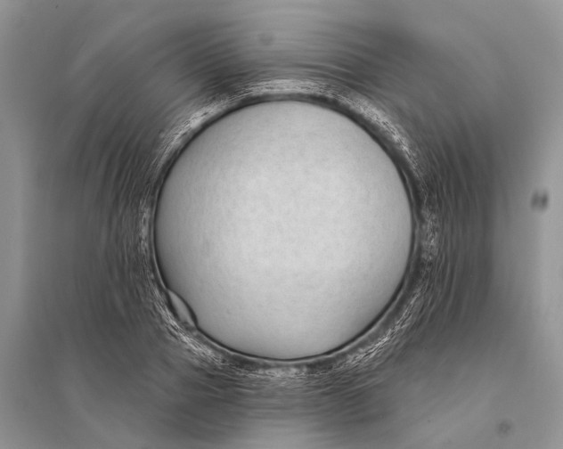 X0000094920937200712201216