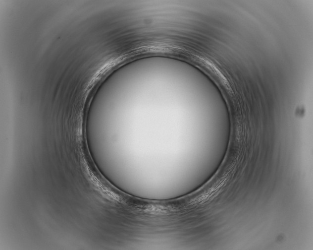 X0000094920938200712201216