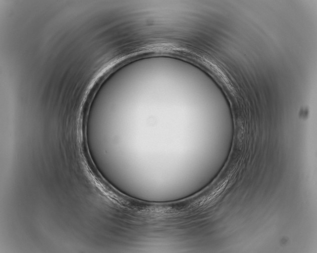 X0000094920939200712201216