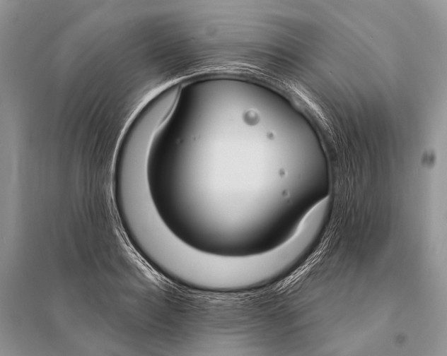 X0000094920940200712201216