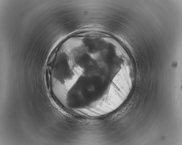 X0000094920941200712201216