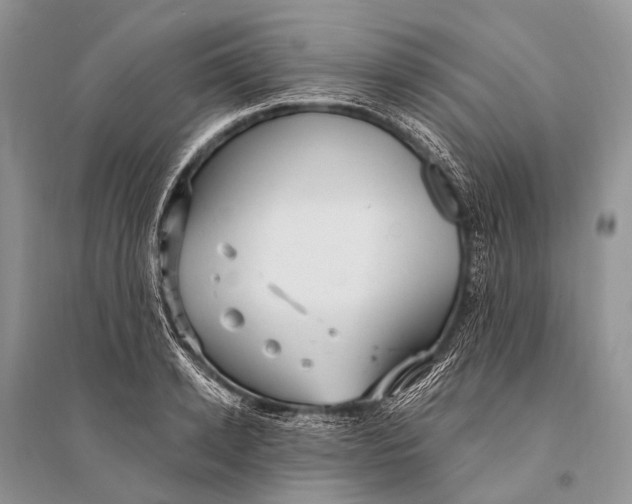 X0000094920942200712201217