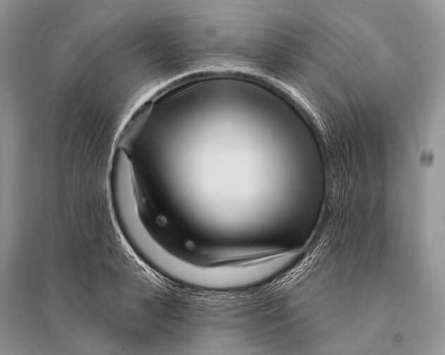 X0000094920943200712201217