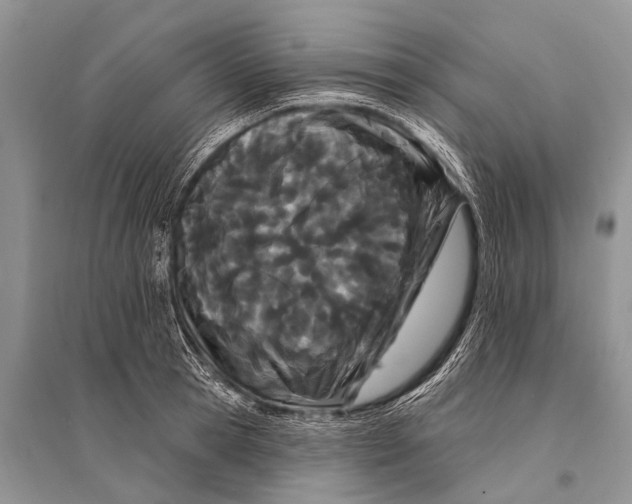 X0000094920945200712201217