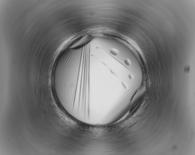 X0000094920946200712201217