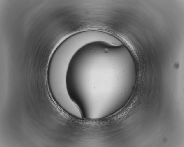 X0000094920948200712201217