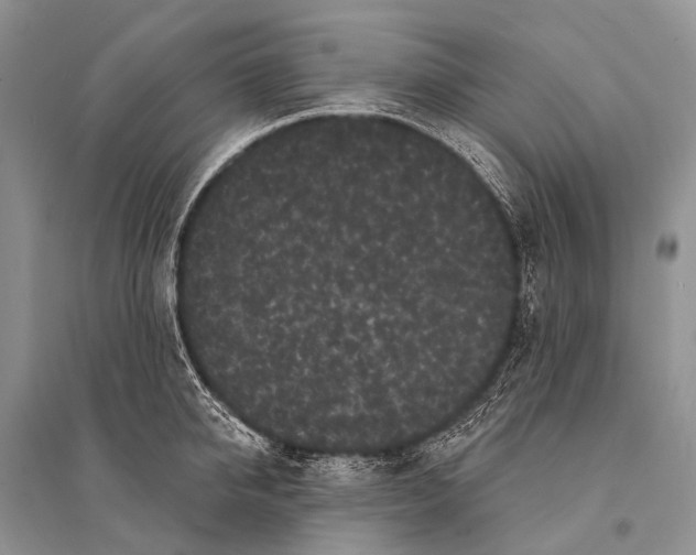 X0000094920950200712201217