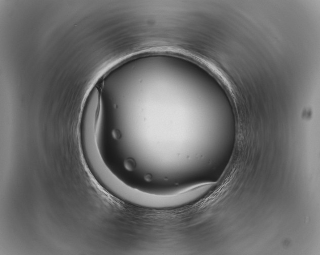 X0000094920951200712201217