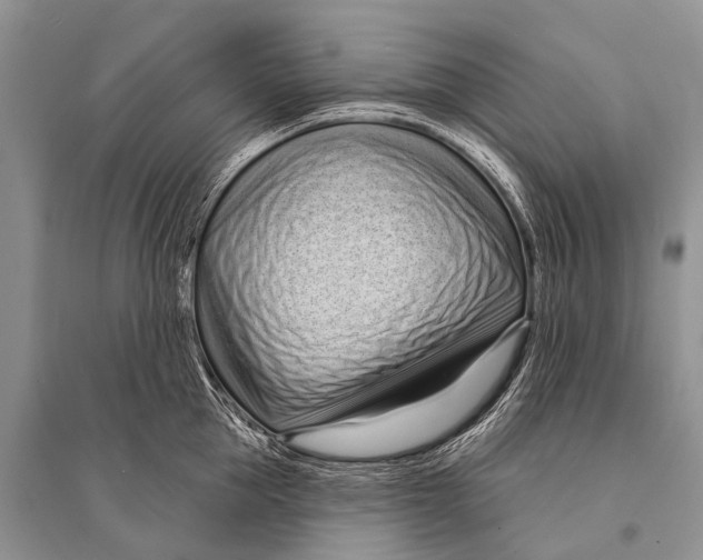 X0000094920953200712201217