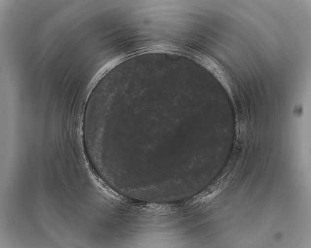 X0000094920954200712201217