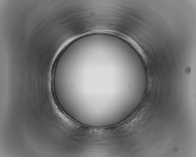 X0000094920955200712201217