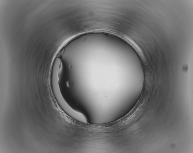 X0000094920956200712201217